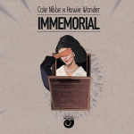 Cole Nibbe & Howie Wonder – Immemorial