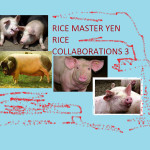 Rice Master Yen – Rice Collaborations 3
